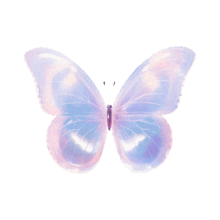 Butterfly animation